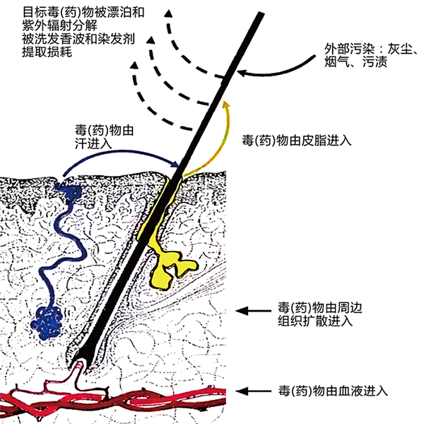 圖片1.png